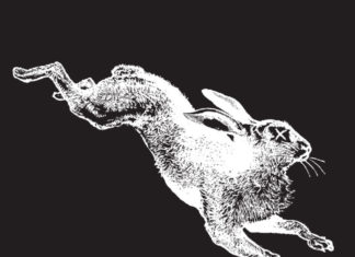 Blind Rabbit Logo