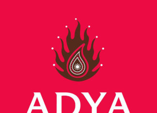 Adya - Curry Festival