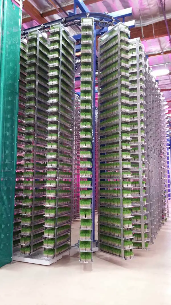 Urban Produce Irvine Grow Stack