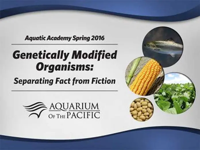 Aquarium of the Pacific Aquatic Academy