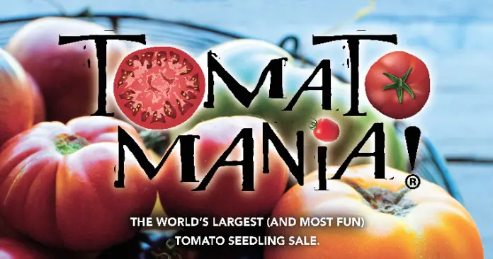 Tomatomania!