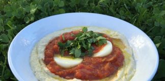 Hummus Bowl 5 23 16