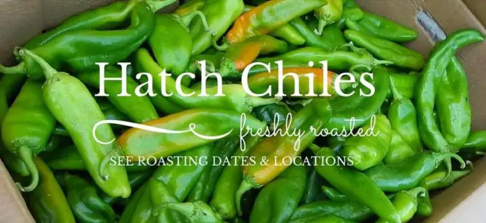 Hatch Chile Season