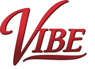 Vibe Logo