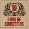 Hi 12 Days Of Christmas