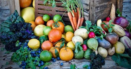 Tomatomania! My Edible Garden Series With Steve Hampson In April