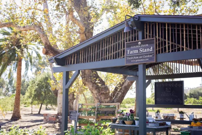 Golden Door Farm Stand Spring Farm Fair (Photo Credit Kelle Ramsey)