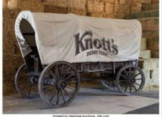 Knott's Berry Farm Auction