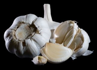 National Garlic Day Photo