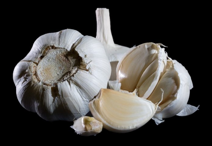 National Garlic Day Photo