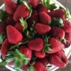 Farmhouse At Roger's Gardens Strawberry Relish Recipe