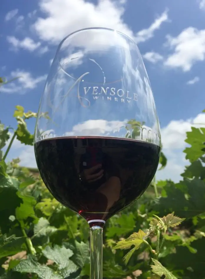 Avensol Winery Gourmet Cheese And Artisanal Wine Tour