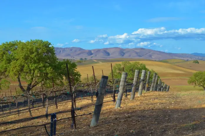 Heart Ranch Winery