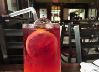 Plum On Park Turmeric Blueberry Lemonade Spritzer