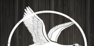 Wild Goose Tavern Logo