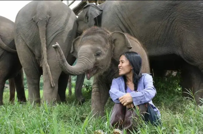 Lek Elephant Nature Park