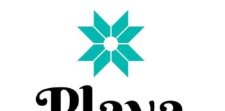 Playa Mesa Logo