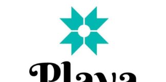 Playa Mesa Logo