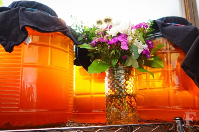 Fermentation Farms Kombucha