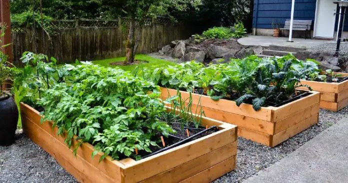 Roger's Gardens Raised Bed