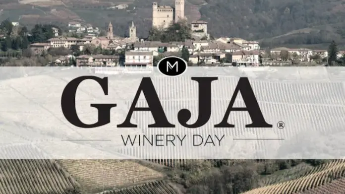 Gaja Winery Day