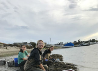 Oyster Restoration