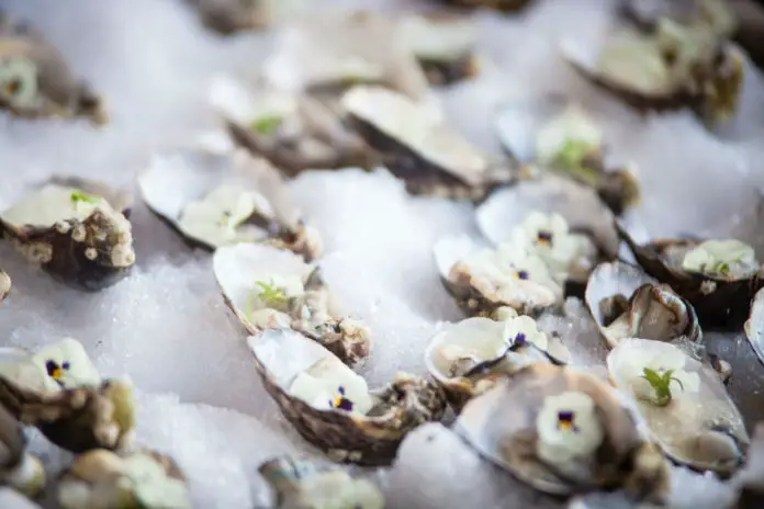 Farmhouse Oysters