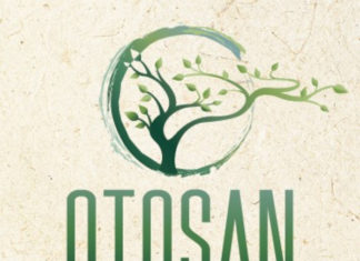 Otosan Sushi Logo (1)