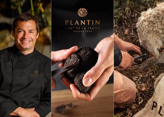 Knife Pleat Black Truffle Experience