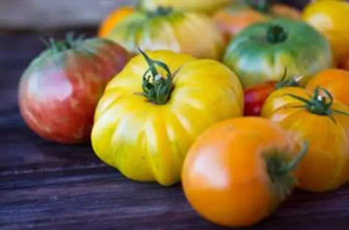 The Ranch Heirloom Tomatoes