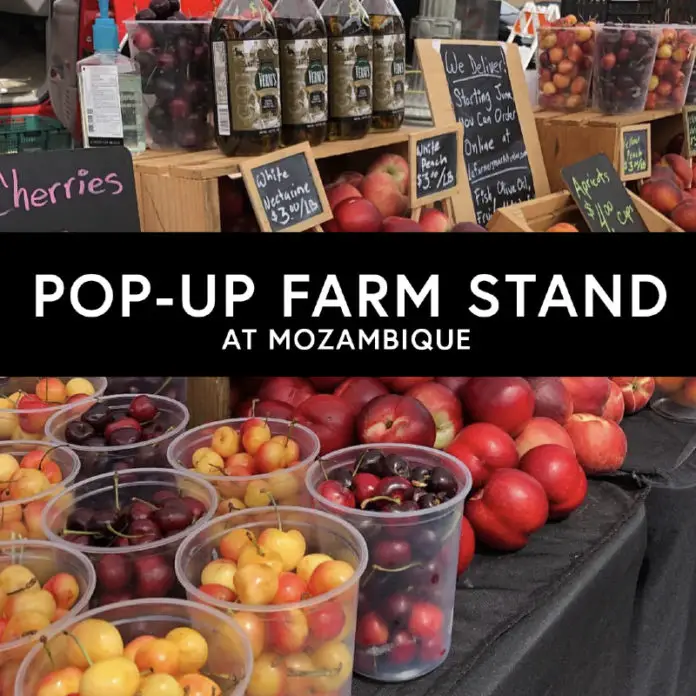 Mozambique Pop Up Farm Stand