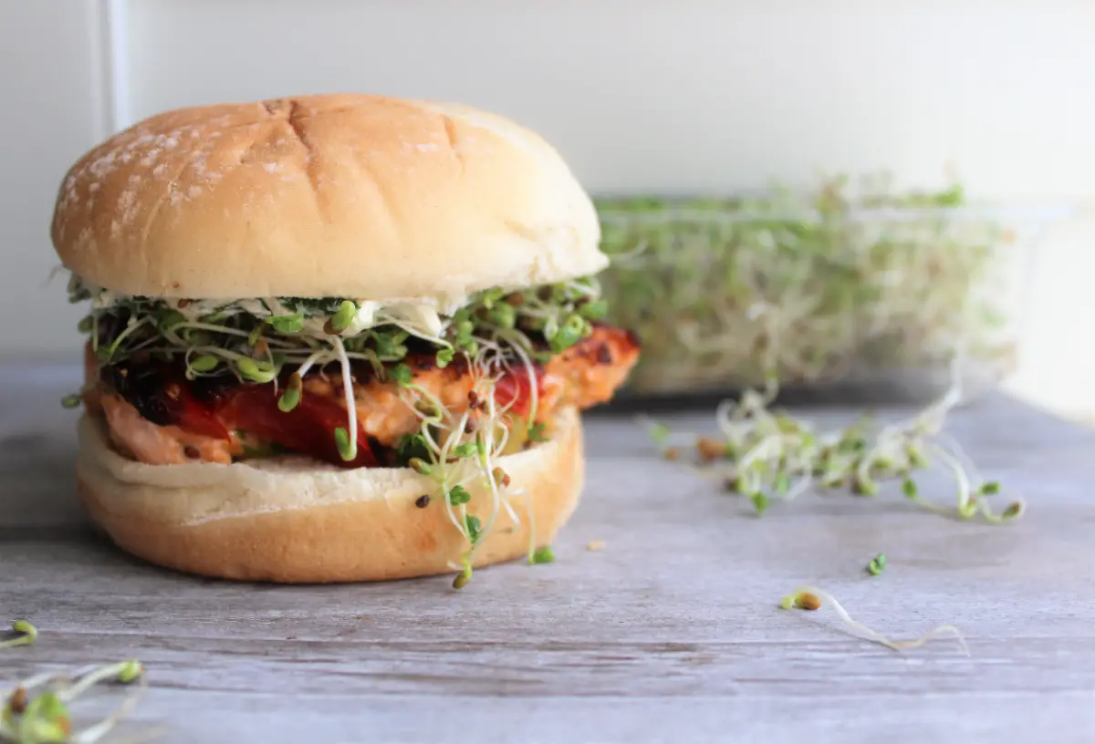 Salmon Burgers Beach Cookbook (1)