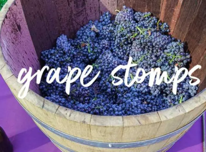 Grape Stomps