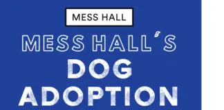 Mess Hall Pet Adoption