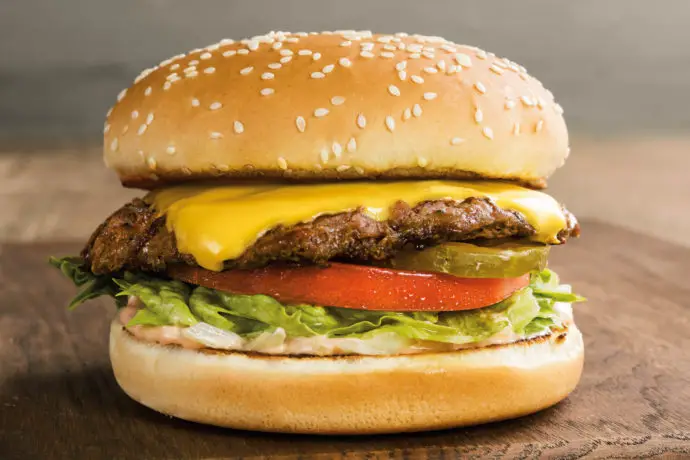 Farmer Boys Big Cheese Burger